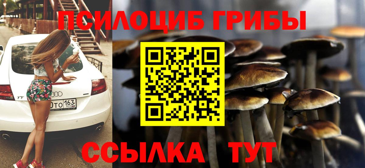 Псилоцибиновые грибы мицелий  наркотики  Новороссийск  Вход с VPN 